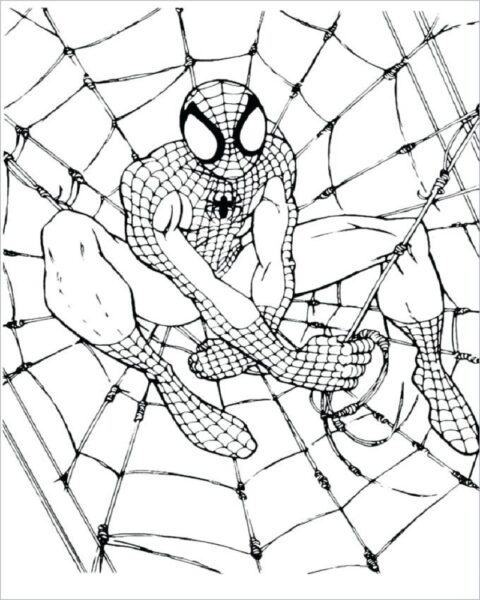 Tranh vẽ người nhện đen trắng cho bé tô màu (6)
