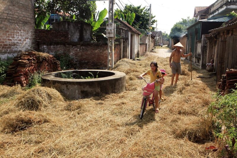 Hình ảnh làng quê Việt Nam bình dị