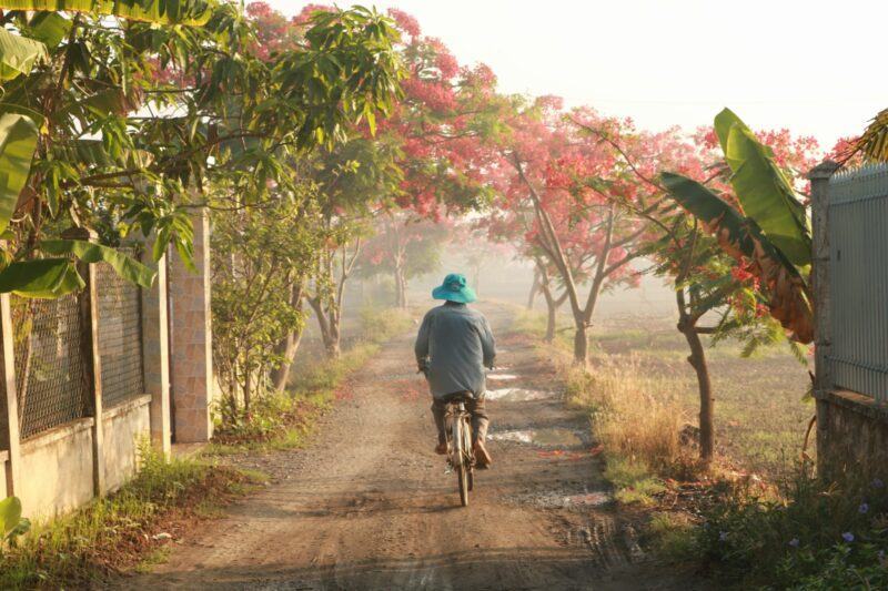 Hình ảnh làng quê Việt Nam và những con đường làng