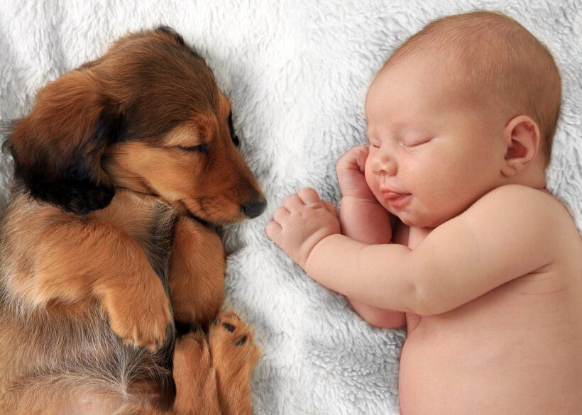 Hình ảnh em bé và cún con siêu đáng yêu