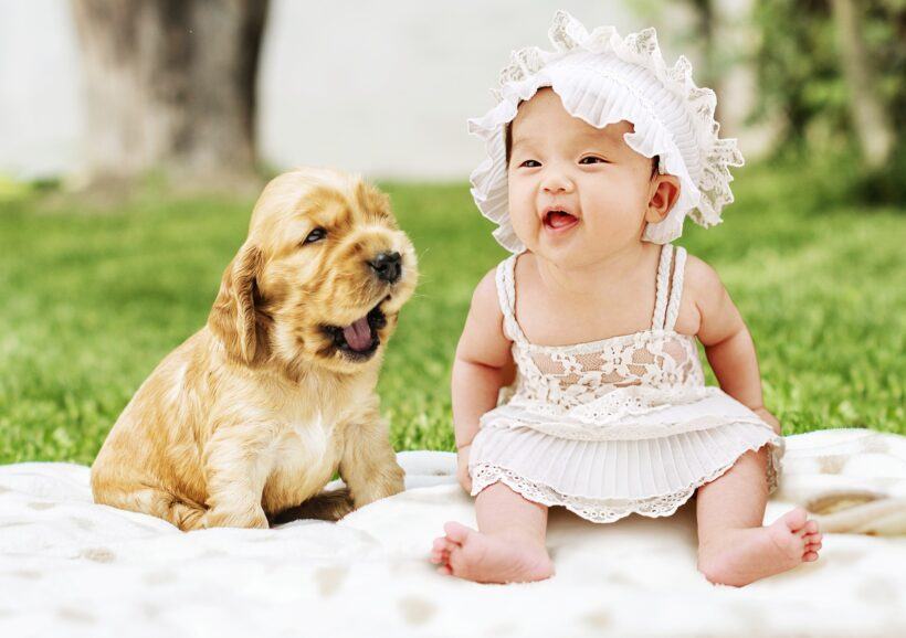 Hình ảnh em bé và cún con dễ thương