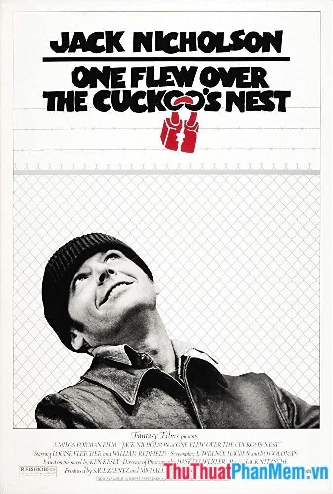 Bay Trên Tổ Chim Cúc Cu – One Flew Over the Cuckoo’s Nest