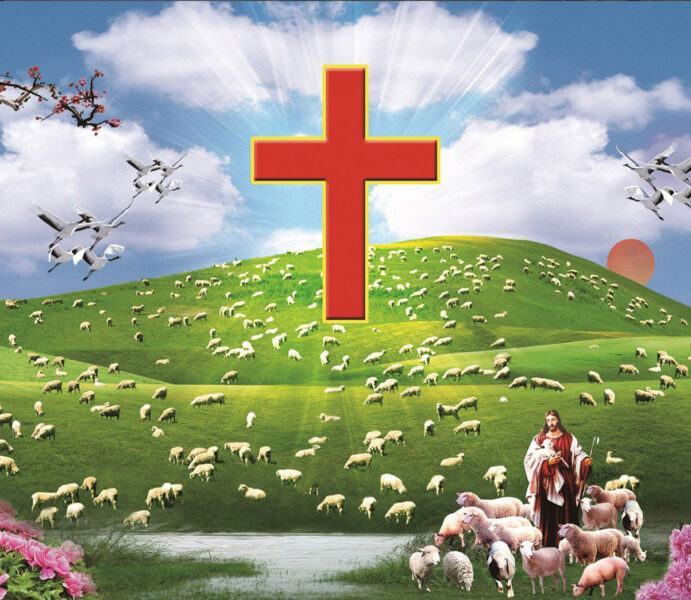 Hình ảnh cây giá tỵ và Chúa Giêsu và đàn chiên