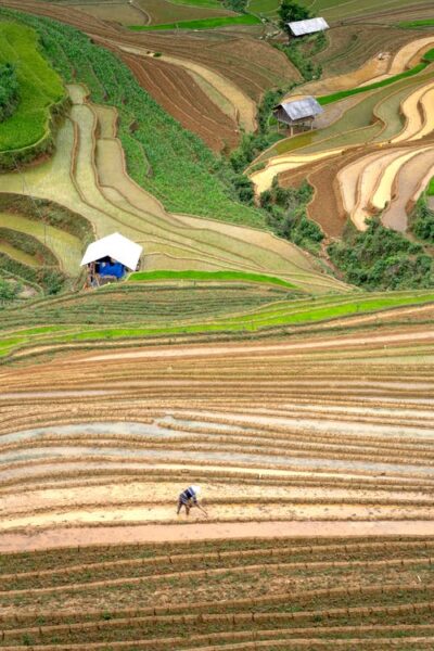 Hình ảnh đẹp quê hương ruộng bậc thang Tây Bắc