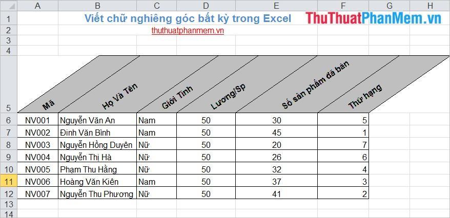 Viết chữ nghiêng mọi góc độ trong Excel 6