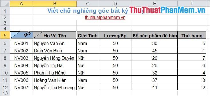 Viết chữ nghiêng mọi góc độ trong Excel 4