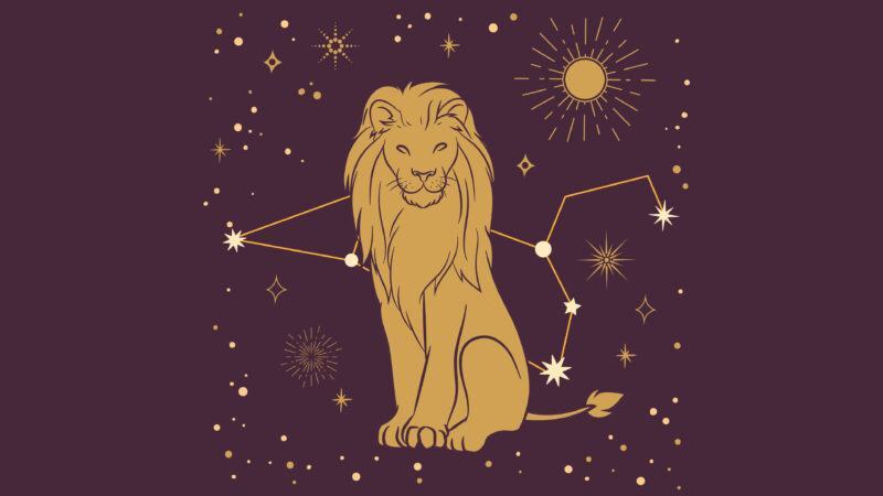 Hình ảnh sư tử - biểu tượng của sư tử