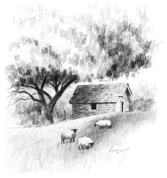 Bút chì vẽ đồi cỏ và đàn cừu