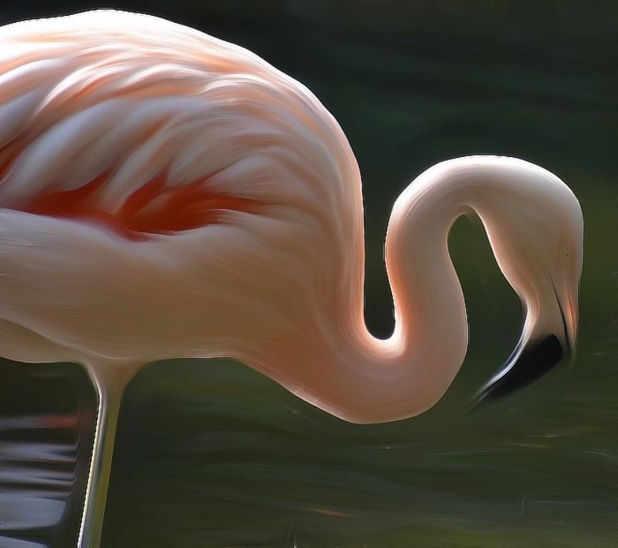 Hình ảnh quán chim hồng hạc Đà Nẵng