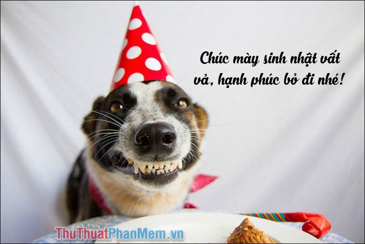 Chúc mừng sinh nhật, làm việc chăm chỉ