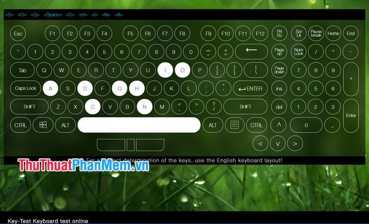 Tiến hành gõ các phím và kiểm tra xem các phím có được tô màu trắng không