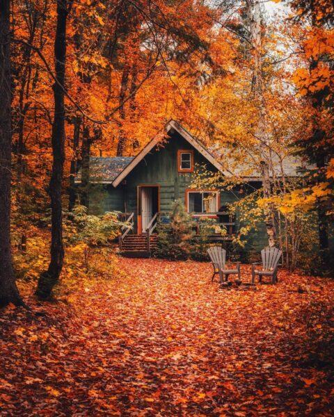 Hình ảnh mùa thu với ngôi nhà phía sau tán lá