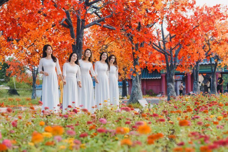 Hình ảnh mùa thu đẹp ở Việt Nam