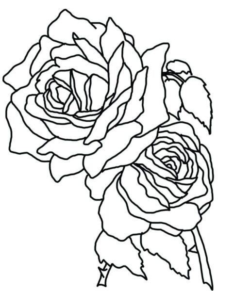 Tranh tô màu hoa hồng đẹp nhất cho bé tập tô (2)