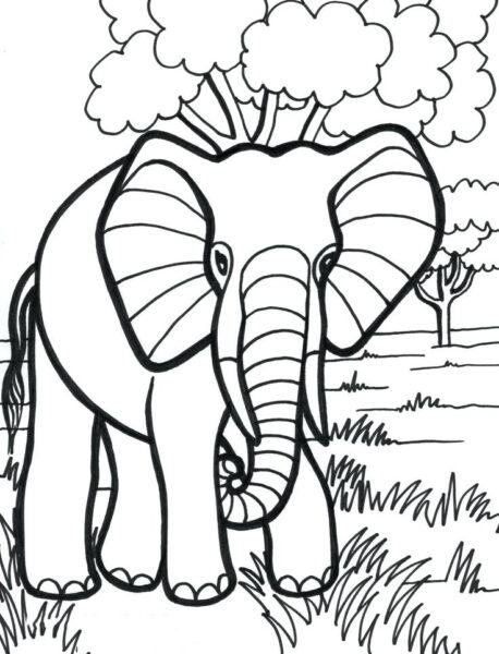 Tranh tô màu con voi đẹp nhất cho bé tập tô màu (19)