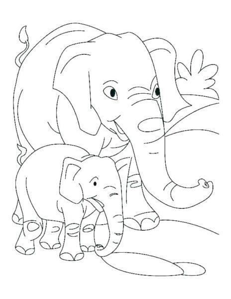 Tranh tô màu con voi dễ thương cho bé tập tô màu (3)