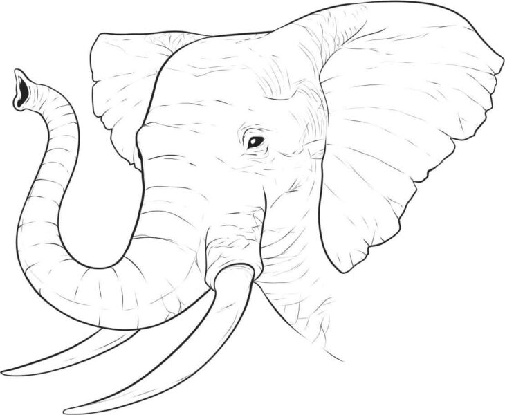 Tranh vẽ con voi đen trắng dễ thương cho bé tô màu (2)