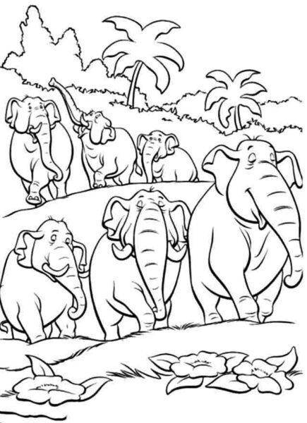 Tranh vẽ con voi không màu đẹp cho bé tập tô màu (2)