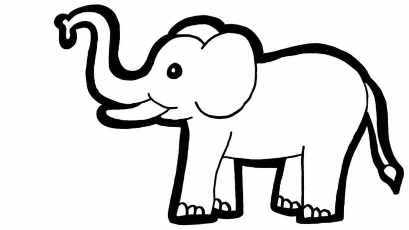Tranh vẽ con voi không màu đẹp cho bé tập tô màu (3)