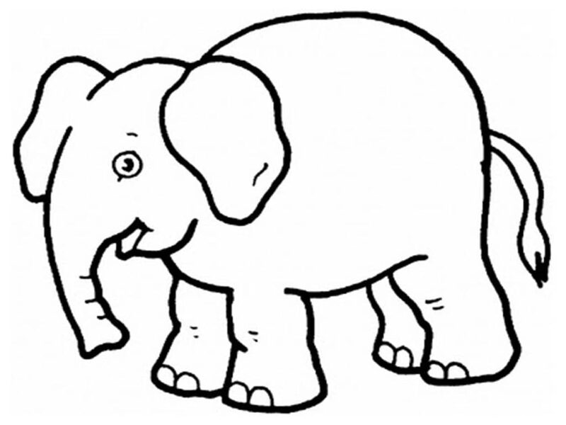 Tranh tô màu con voi cực đẹp cho bé tập tô (2)