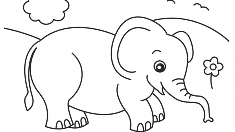 Tranh tô màu con voi đẹp nhất cho bé tập tô (2)