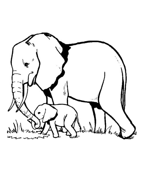Tranh tô màu con voi đẹp nhất cho bé tập tô màu (4)