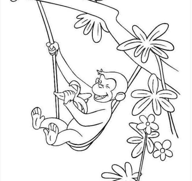Cách vẽ con khỉ leo cây