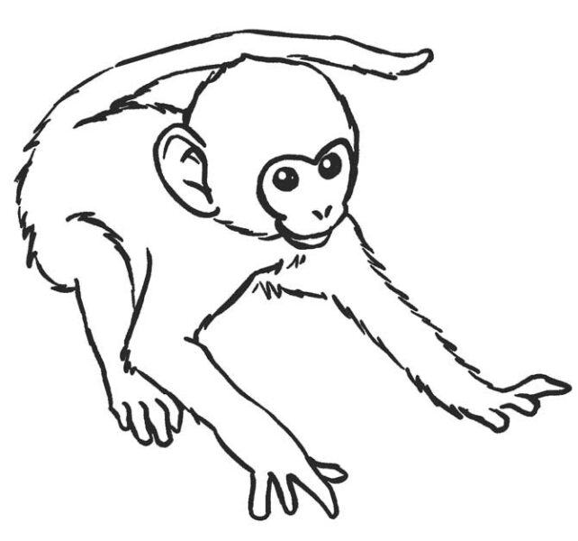 Tranh tô màu chú khỉ dễ thương cho bé tập tô màu (2)