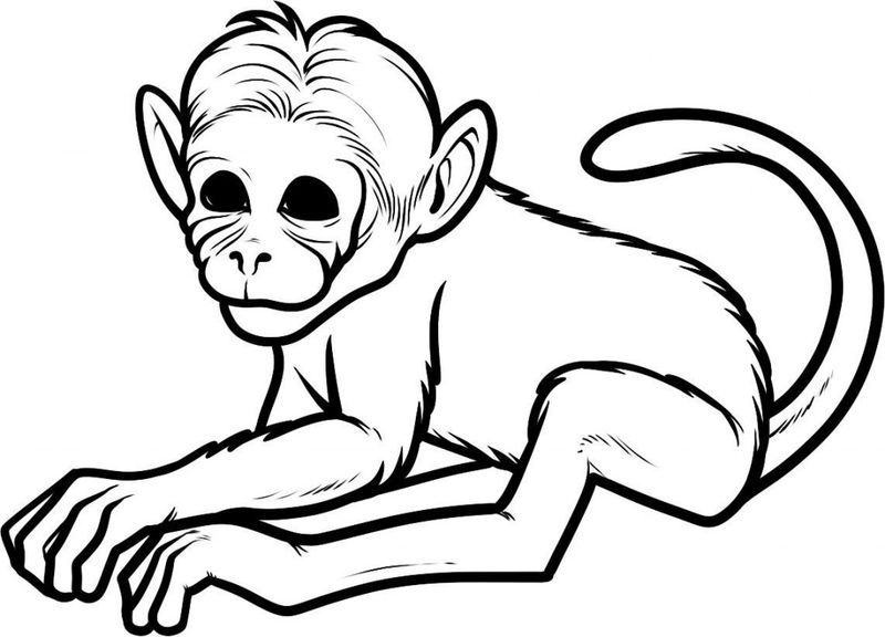 Vẽ con khỉ đẹp