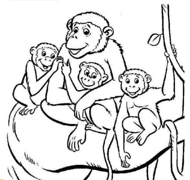 Tranh tô màu con khỉ đẹp nhất cho bé tập tô màu (1)