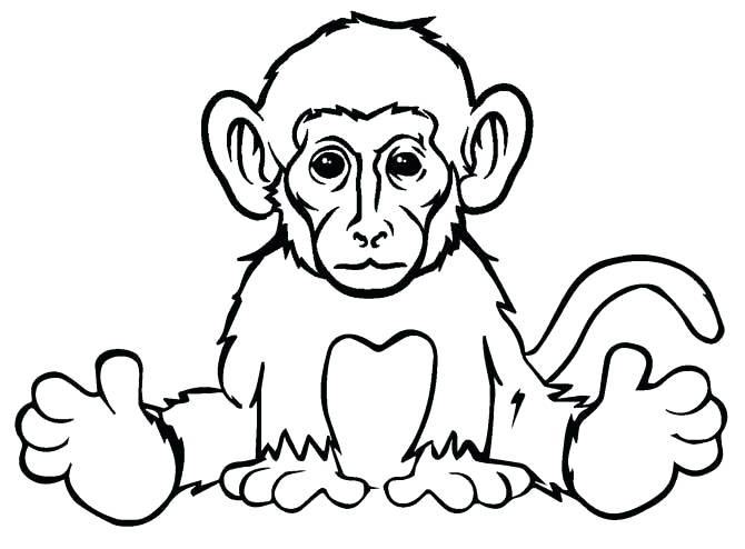Vẽ con khỉ trắng đen cho bé tô màu (3)