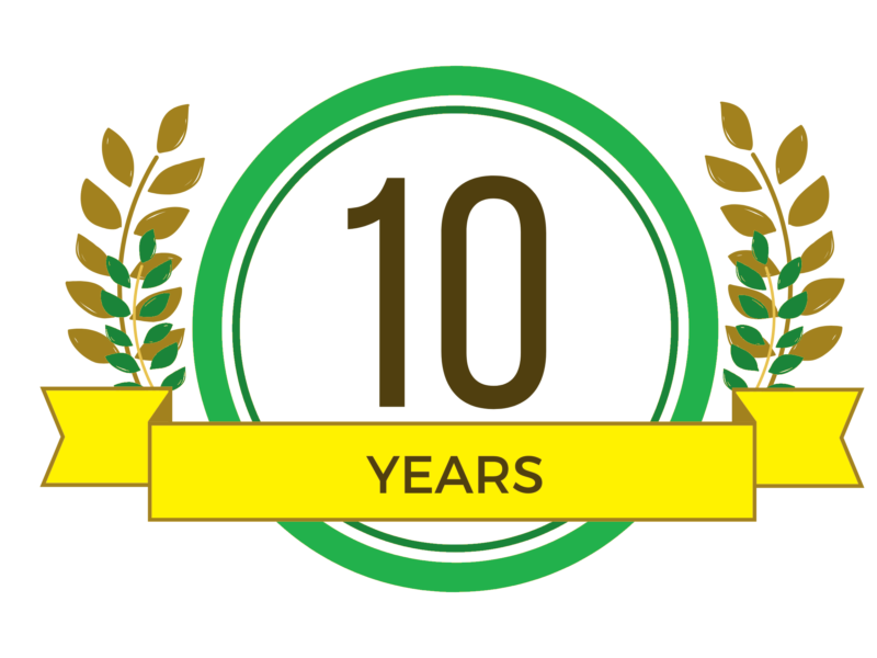 mẫu logo kỷ niệm 10 năm đẹp đơn giản
