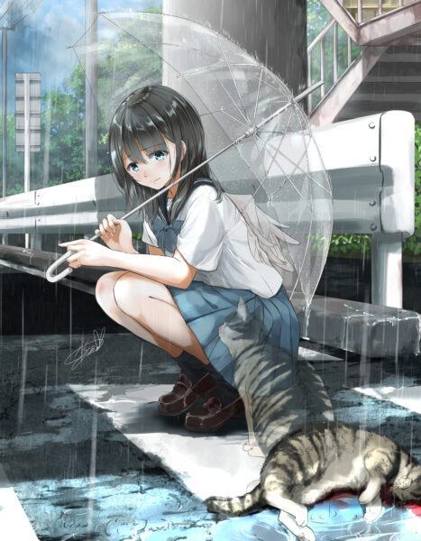 Hình ảnh anime buồn về một cô gái đau buồn khi mất một con mèo