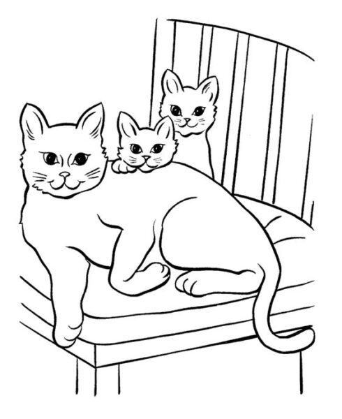 Tranh tô màu con mèo leo lên ghế
