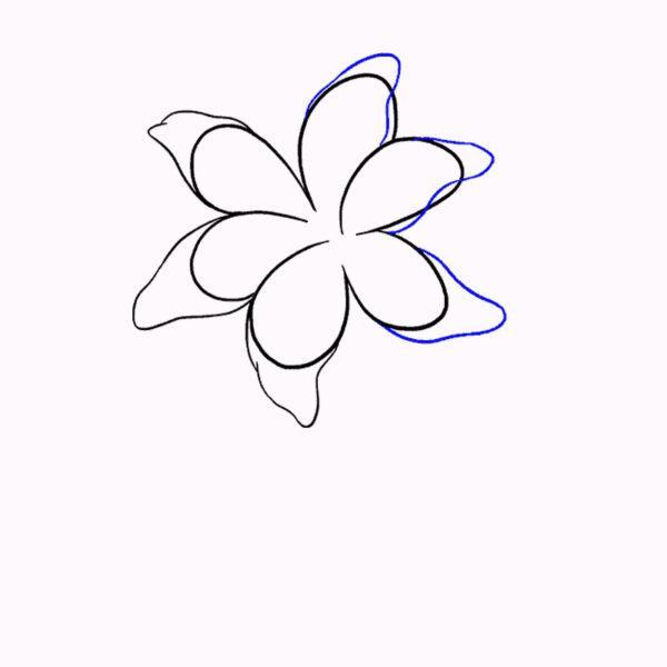 Việc vẽ hoa loa kèn đơn giản không chỉ giúp bạn rèn luyện kỹ năng vẽ mà còn là cách để giải stress sau một ngày dài làm việc.