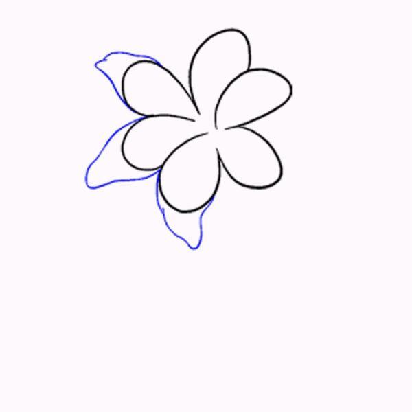 Vẽ hoa loa kèn không còn là điều quá khó nữa. Chỉ cần vài đường nhấn chuẩn, bạn sẽ có được bức tranh độc đáo với hoa loa kèn đơn giản. Thử tới và khám phá cảm giác đầy sáng tạo của nghệ thuật vẽ tranh nhé!