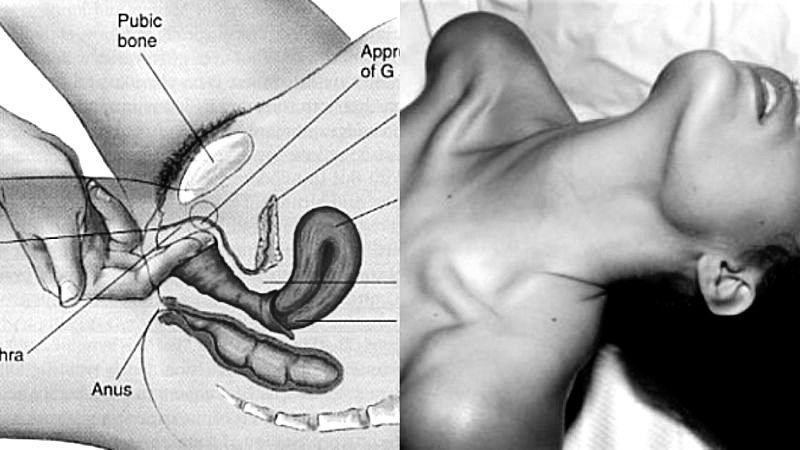 Điểm G của phụ nữ nằm ở đâu?