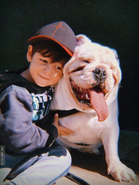 Hình ảnh chú chó Pitbull và cậu bé