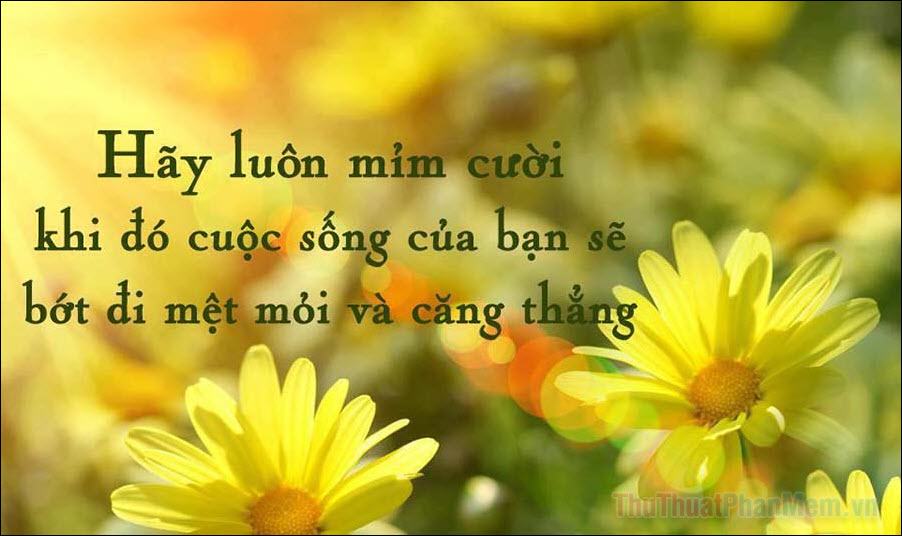 Lời chúc ngày mới tốt lành hay, vui vẻ, ý nghĩa nhất - 5