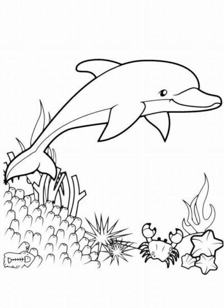 Tranh vẽ cá heo đen trắng đẹp nhất cho bé tô màu (5)