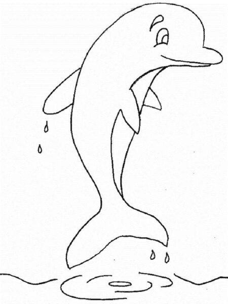 Tranh vẽ cá heo đen trắng đẹp nhất cho bé tô màu (3)