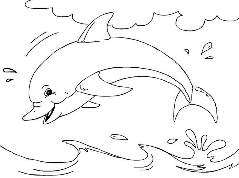 Tranh vẽ cá heo không màu ngộ nghĩnh cho bé tập tô màu (1)