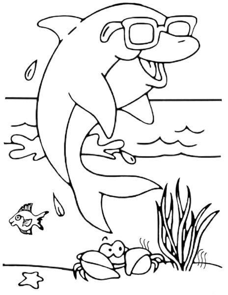 Tranh vẽ cá heo không màu ngộ nghĩnh cho bé tập tô màu (4)