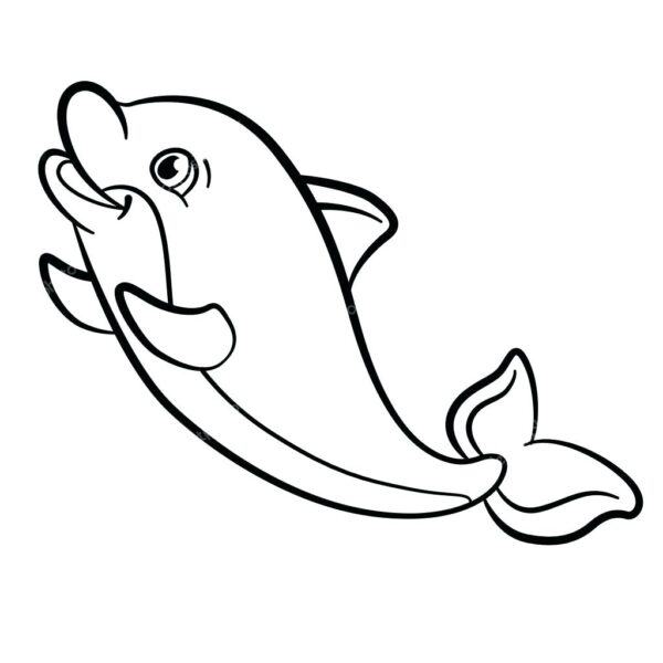 Tranh vẽ cá heo không màu ngộ nghĩnh cho bé tập tô màu (8)