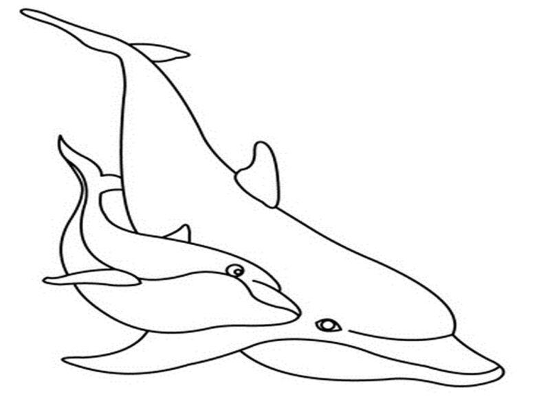 Tranh vẽ cá heo không màu ngộ nghĩnh cho bé tập tô màu (6)