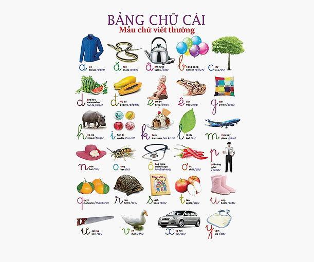 bảng chữ cái tiếng việt