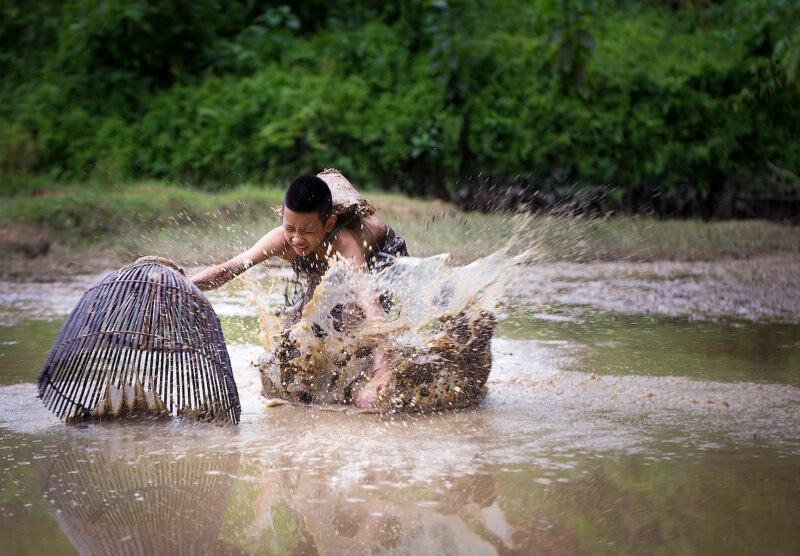 Ký ức thời thơ ấu