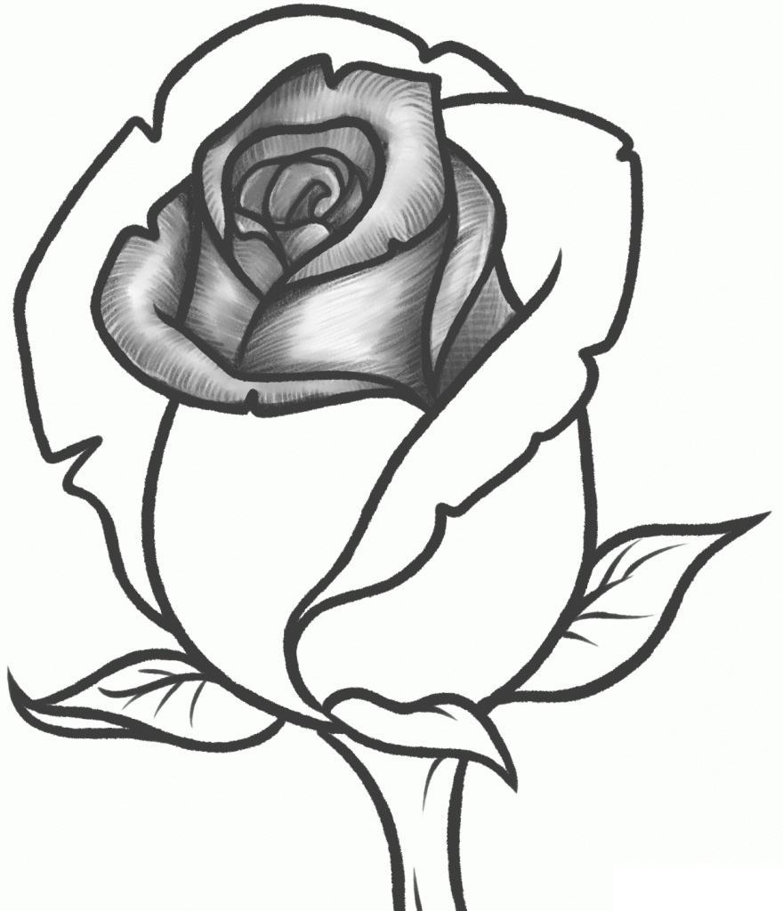 Vẽ hoa hồng và trái tim bằng bút chì
