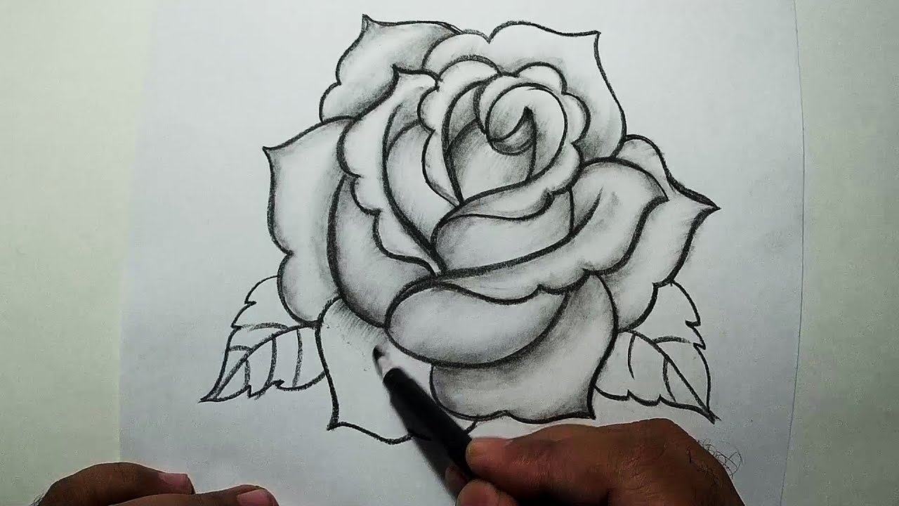 Hình ảnh hoa hồng đẹp nhất bằng bút chì