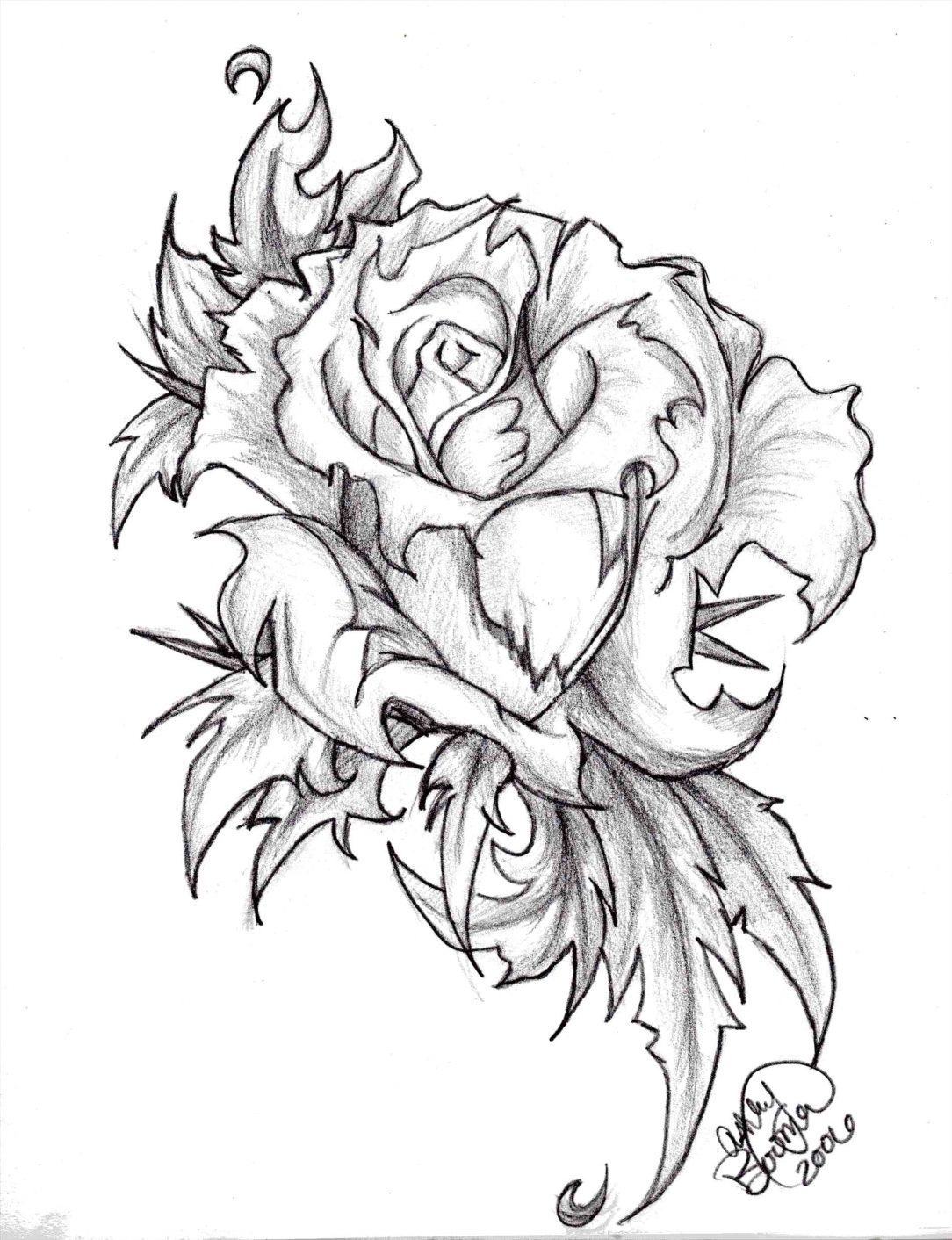 Vẽ hoa hồng đen trắng bằng bút chì